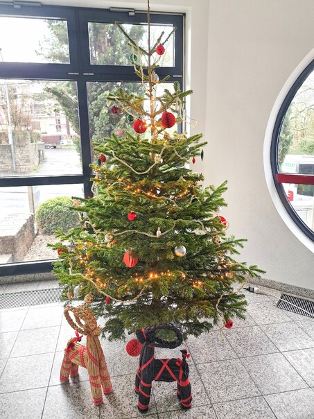 Weihnachtsbaum-2022-Jpeg